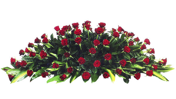 flowers1-tfsm